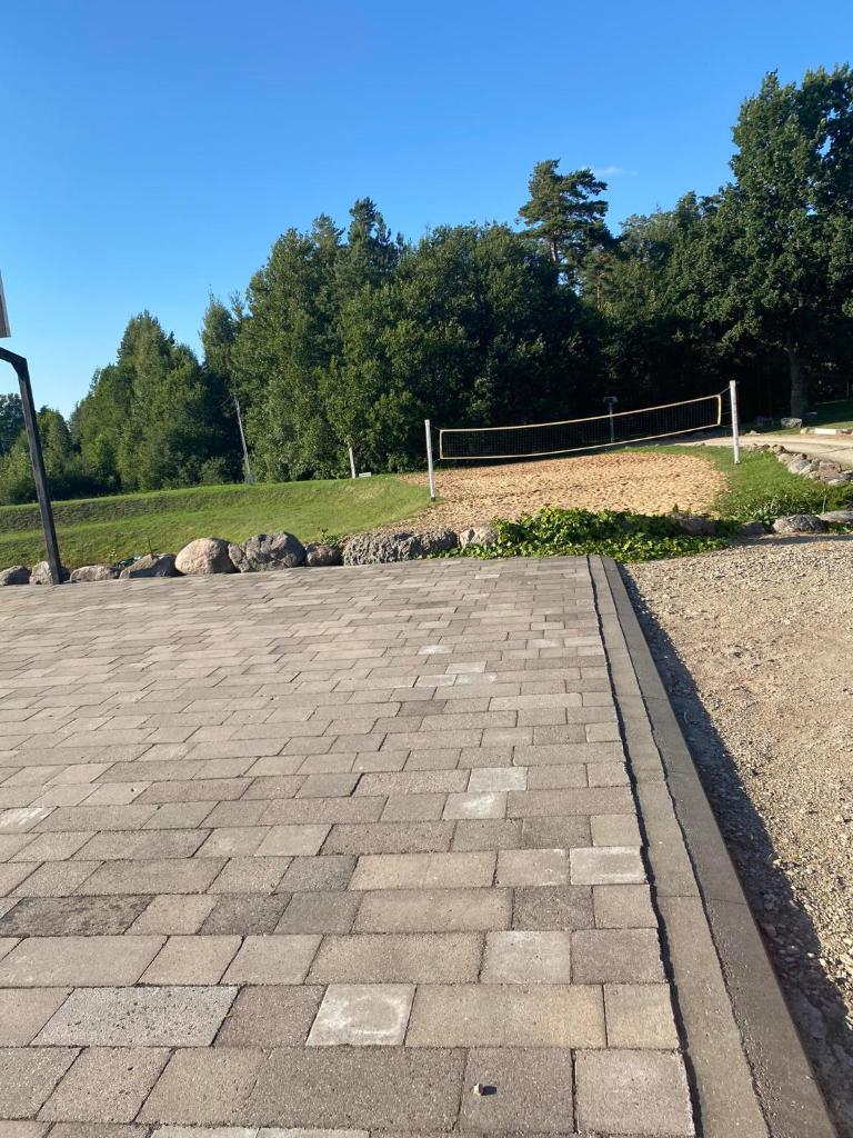 Luobos vienkiemis photo 3