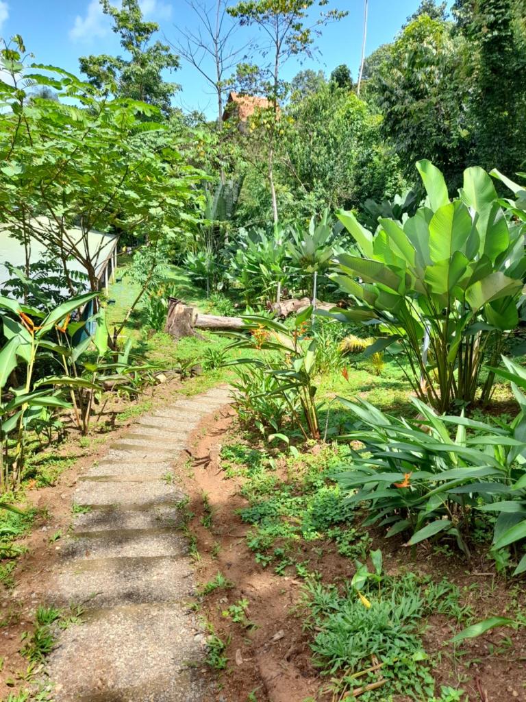 Hostel Osa Tucan Drake photo 1