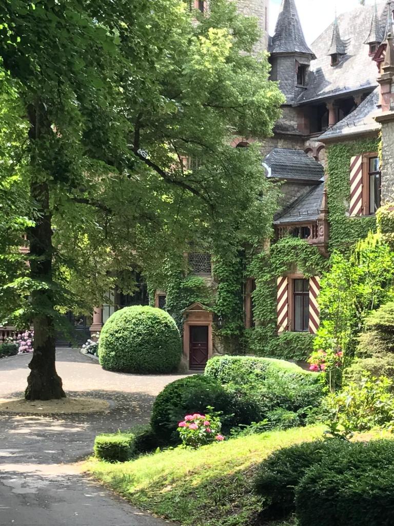 Schloss Langenzell, Grafensuite