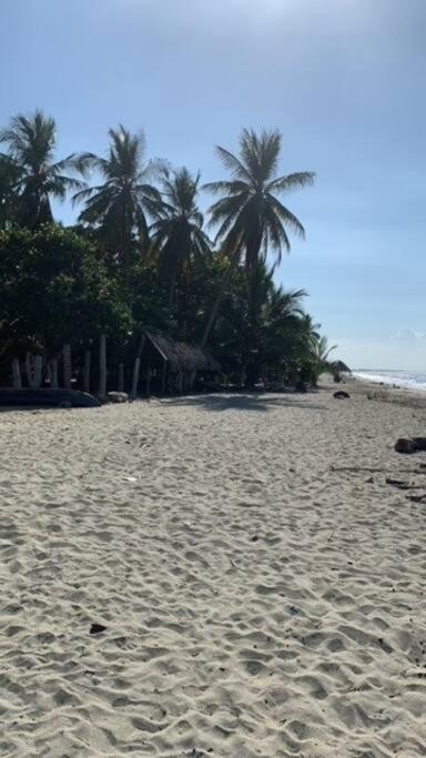Ocean front house at charming Ciénaga! photo 4