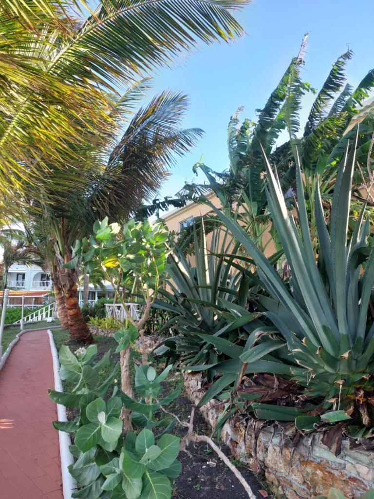Northshore Seaside Suites photo 4