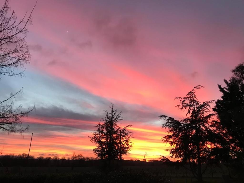 Escapade dans la campagne toulousaine photo 4
