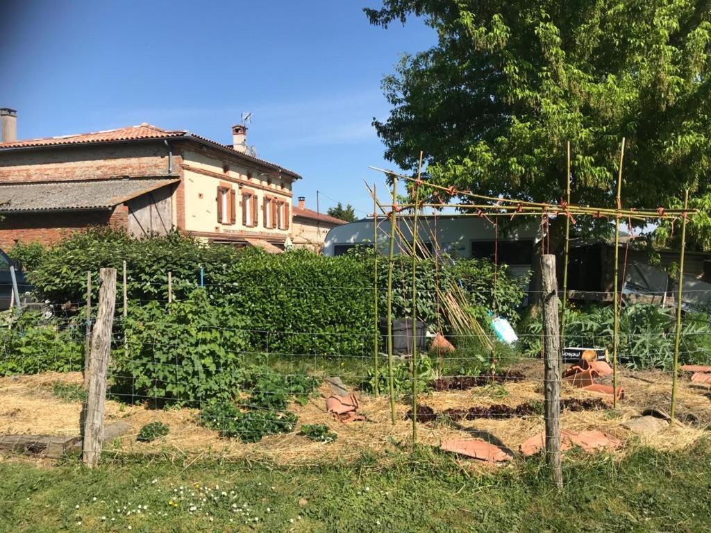 Escapade dans la campagne toulousaine photo 3
