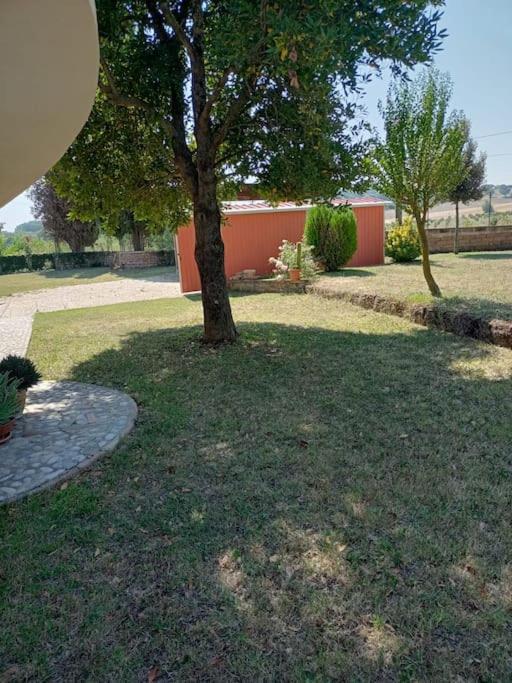 Campo del Gatto photo 3