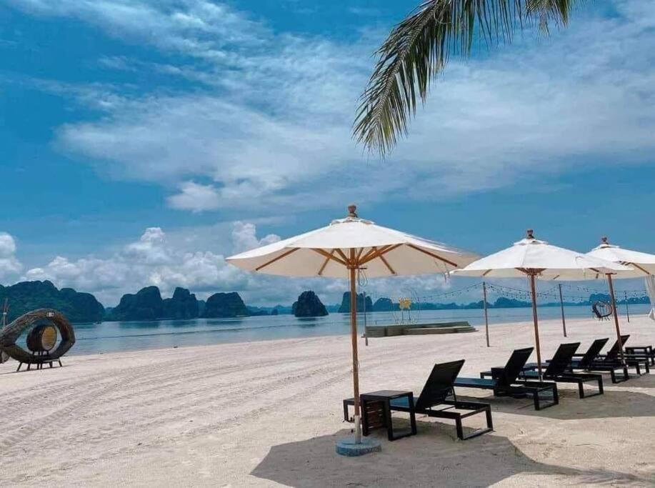 Lavender Sonasea Vân Đồn Quảng Ninh photo 2