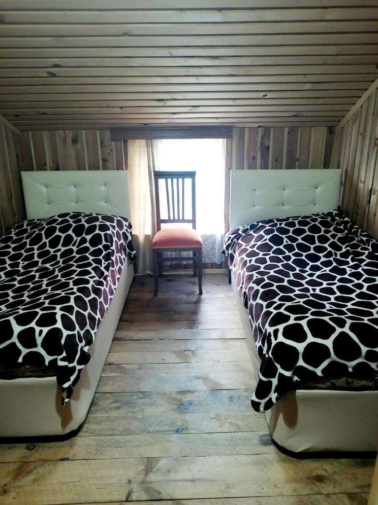 JiJi Family Hotel photo 1
