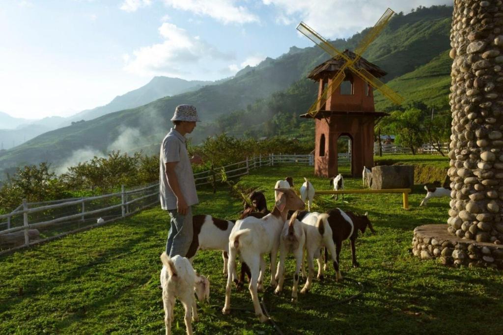 O Châu Homestay Lào Cai