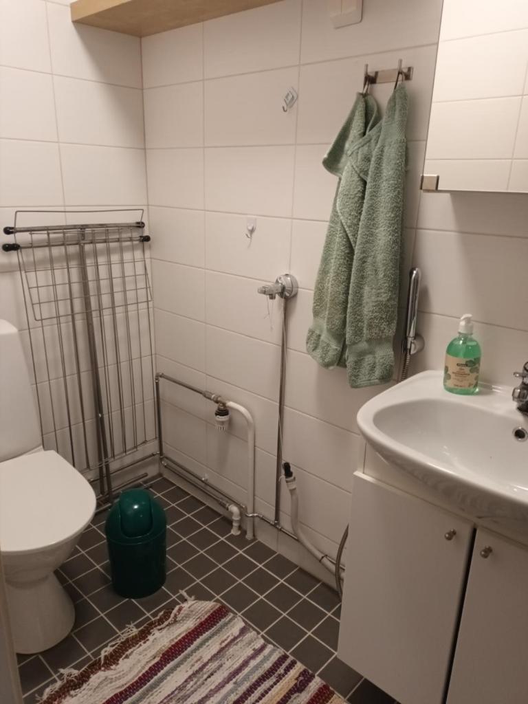 Saunallinen yksiö, 4 vuodepaikka photo 2