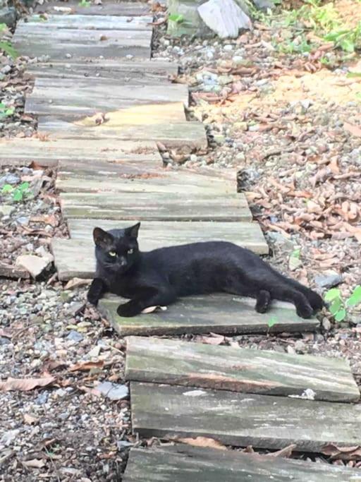 Chez Phuong Cat Ba -Private entire house