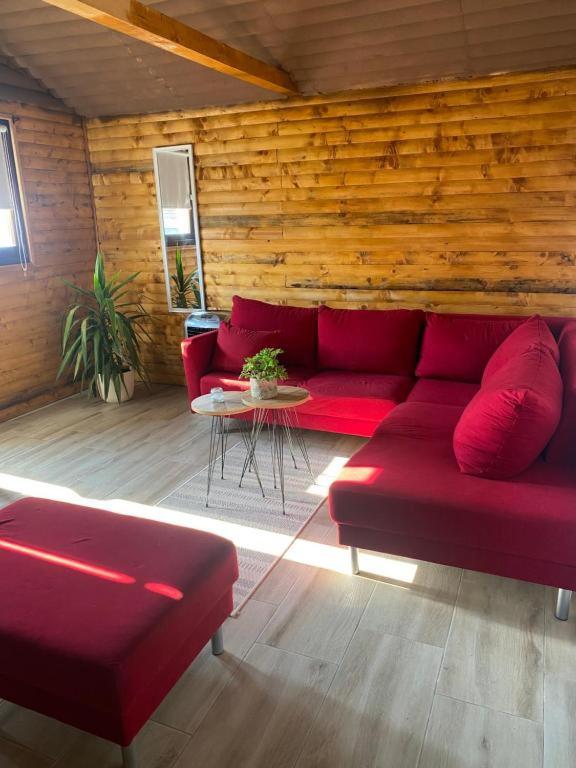 Horizonti Miroc photo 3