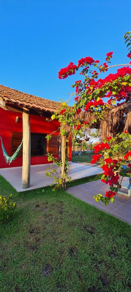 Casa Pitaya photo 2