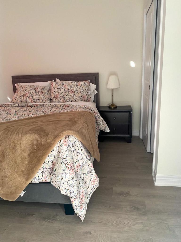 Brand new townhouse photo 1