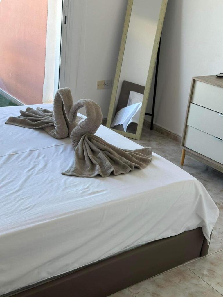 Cozy Paphos Apartment photo 4