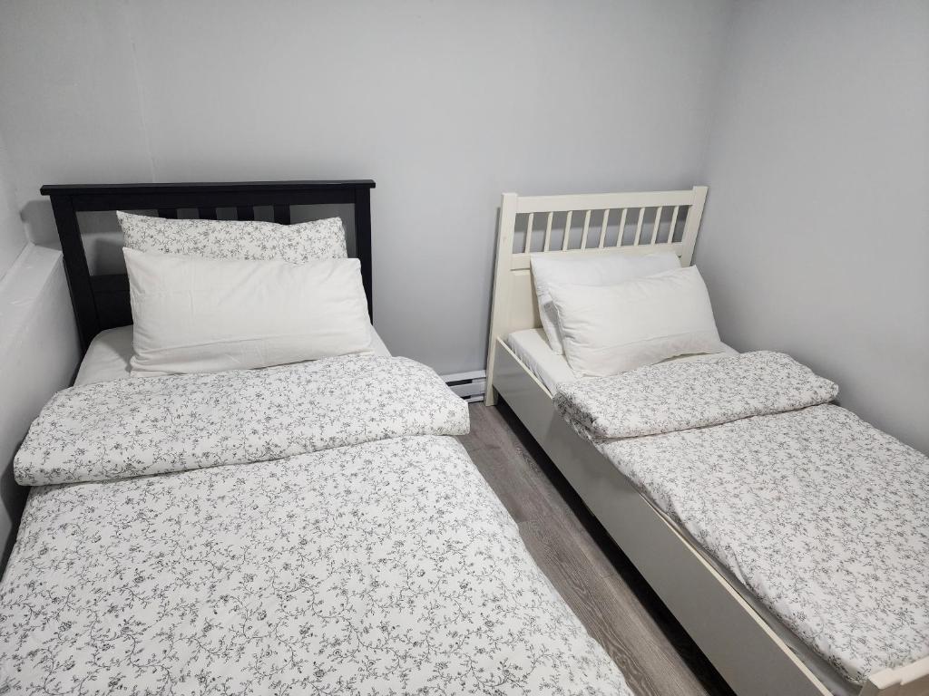 Blissful basement suite near surrey center