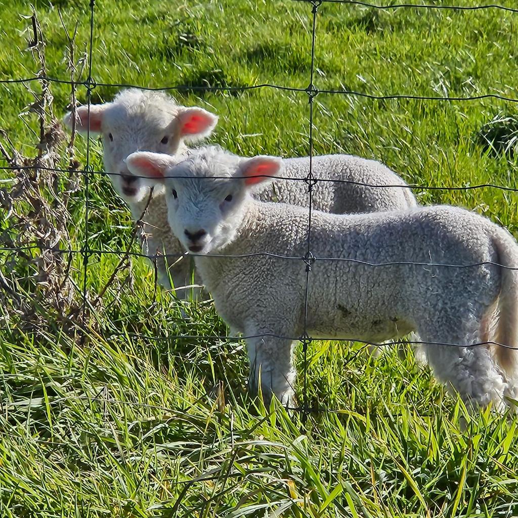 Whiteacres photo 2
