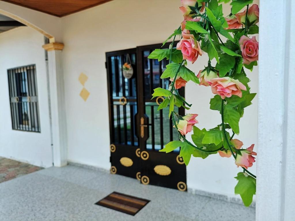 RESIDENCE DORANA photo 2