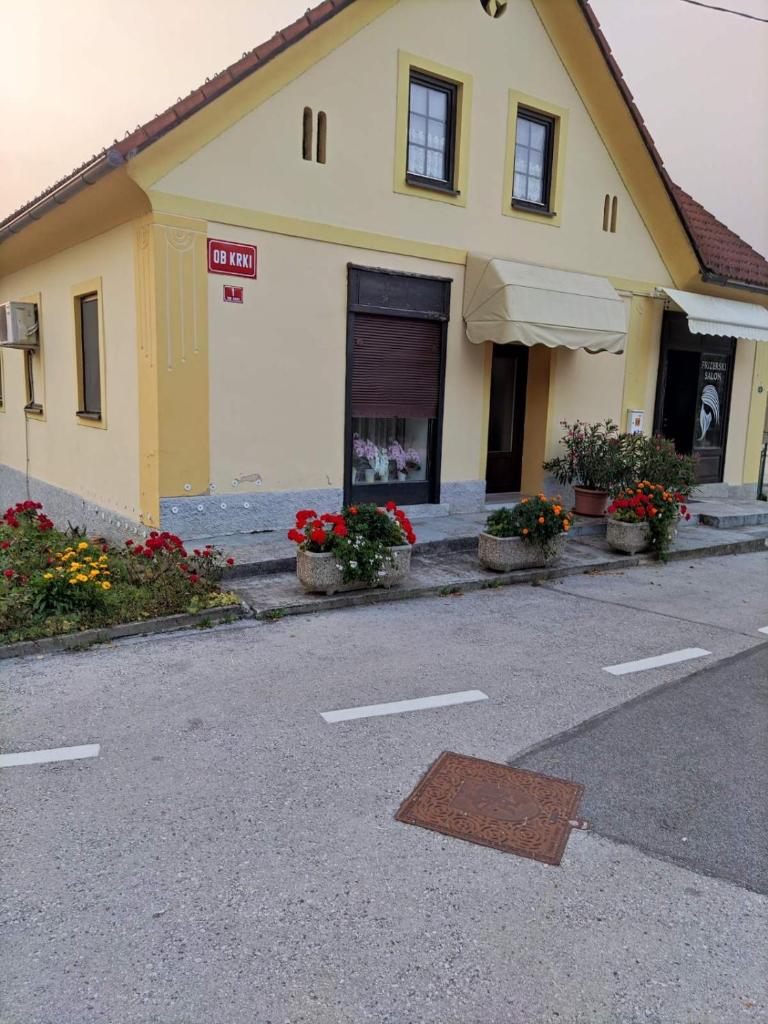 Soba Kolovrat