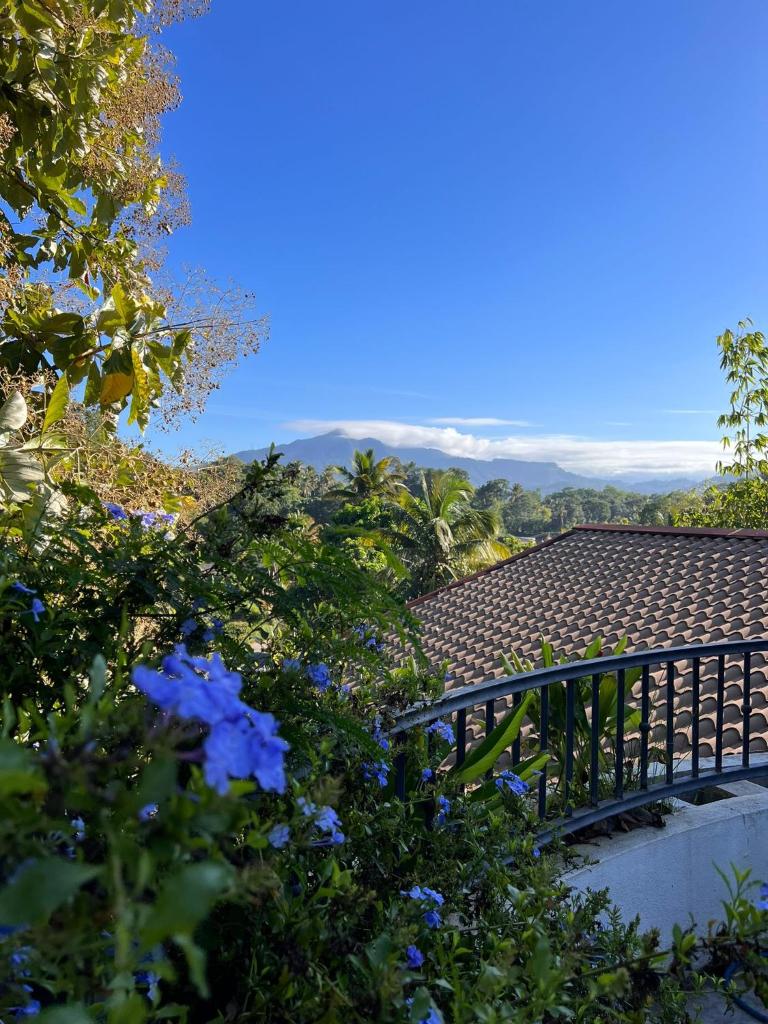 Dumbara Villa photo 1