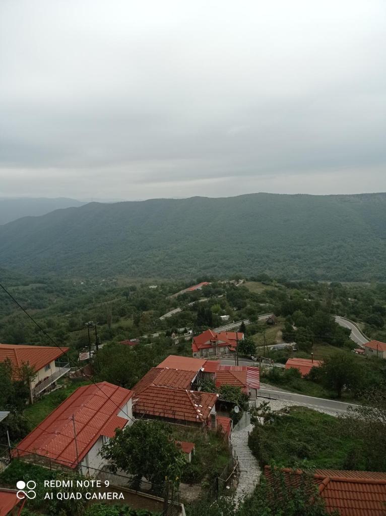 Άγρια Λούλουδα Κατοικία Αρμονία photo 2