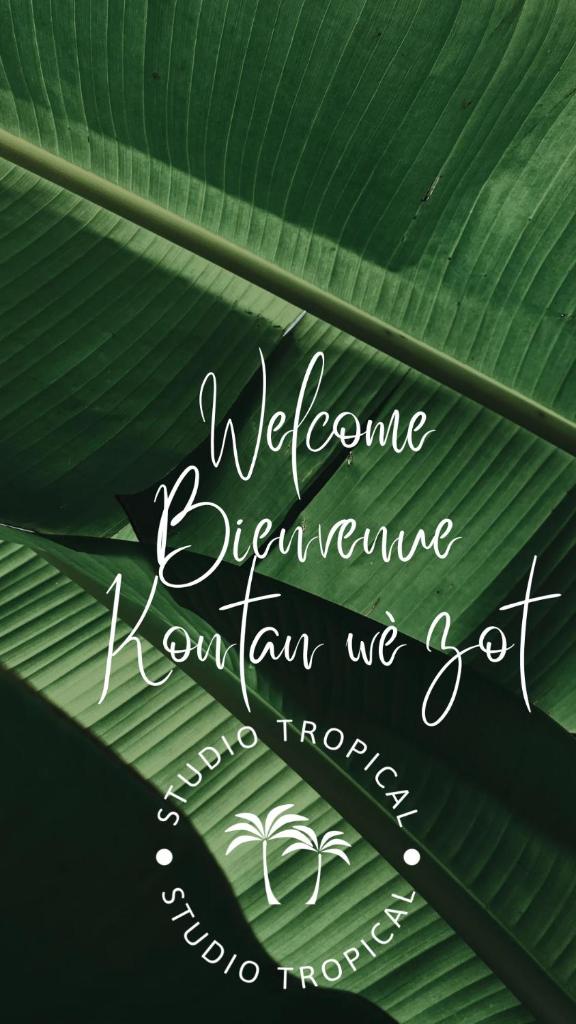 Studio Tropical avec vue mer dans une résidence hôtelière photo 1