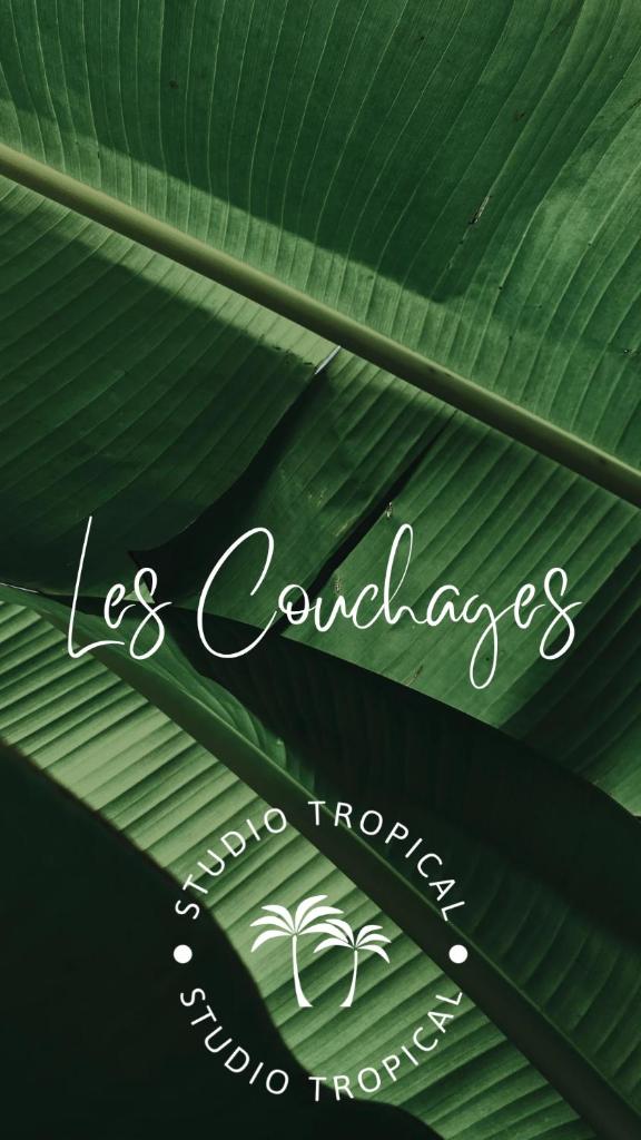 Studio Tropical avec vue mer dans une résidence hôtelière photo 3