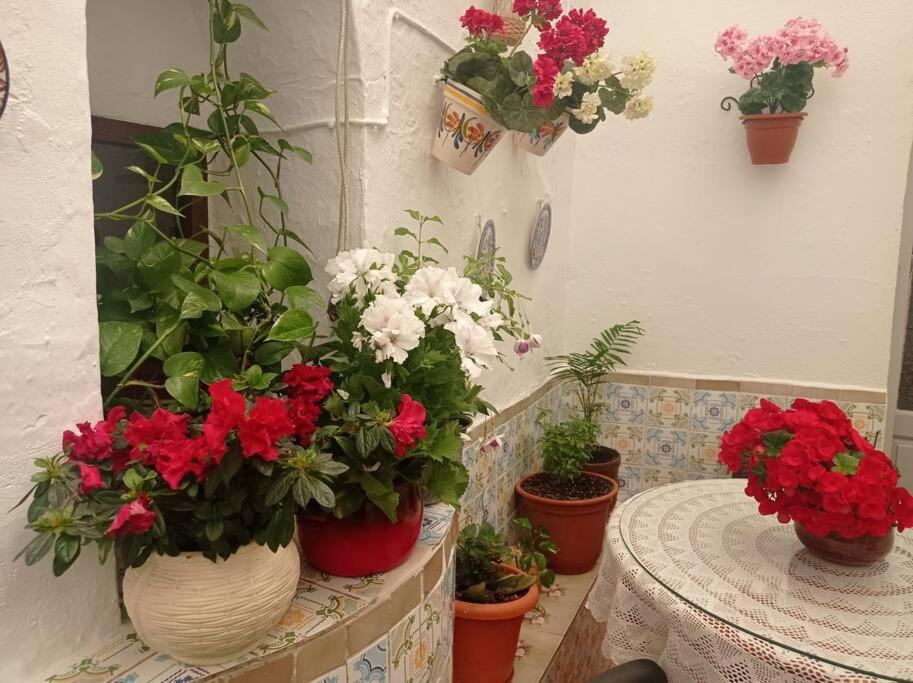 Casa típica de pueblo andaluz photo 2