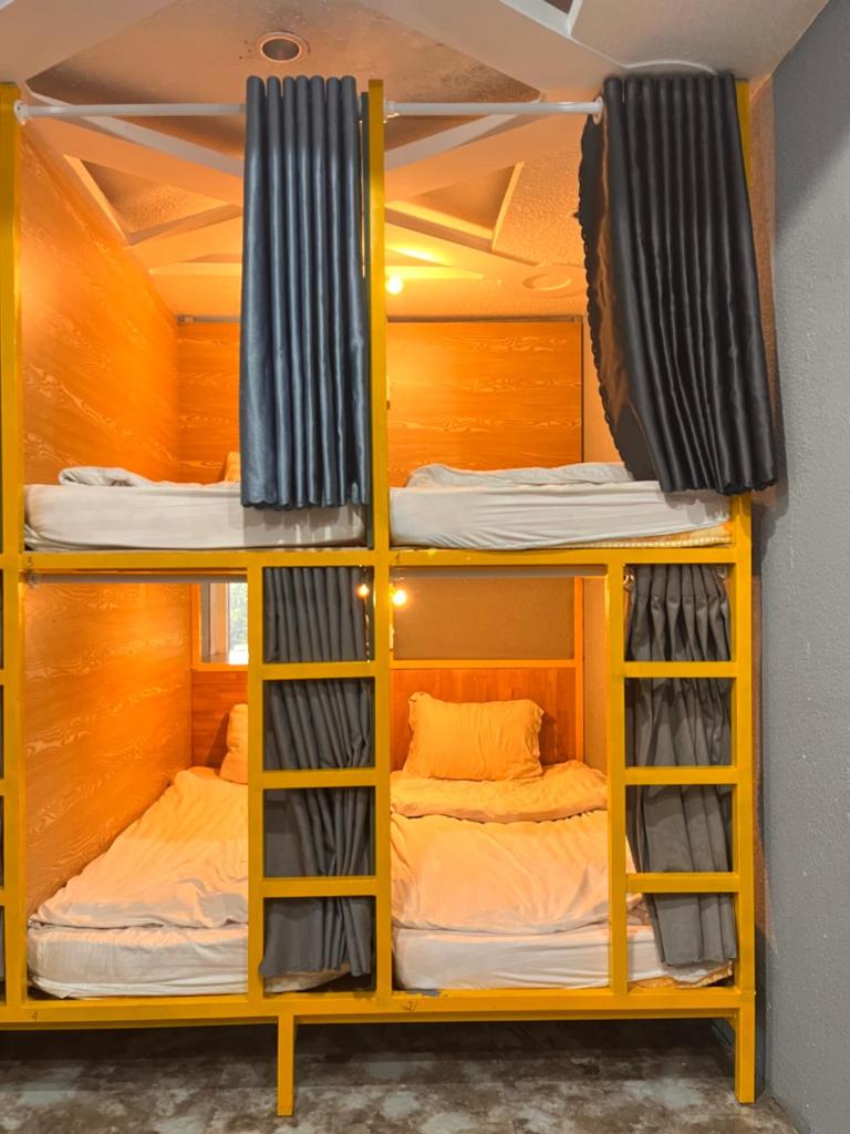 King Kong hostel photo 1
