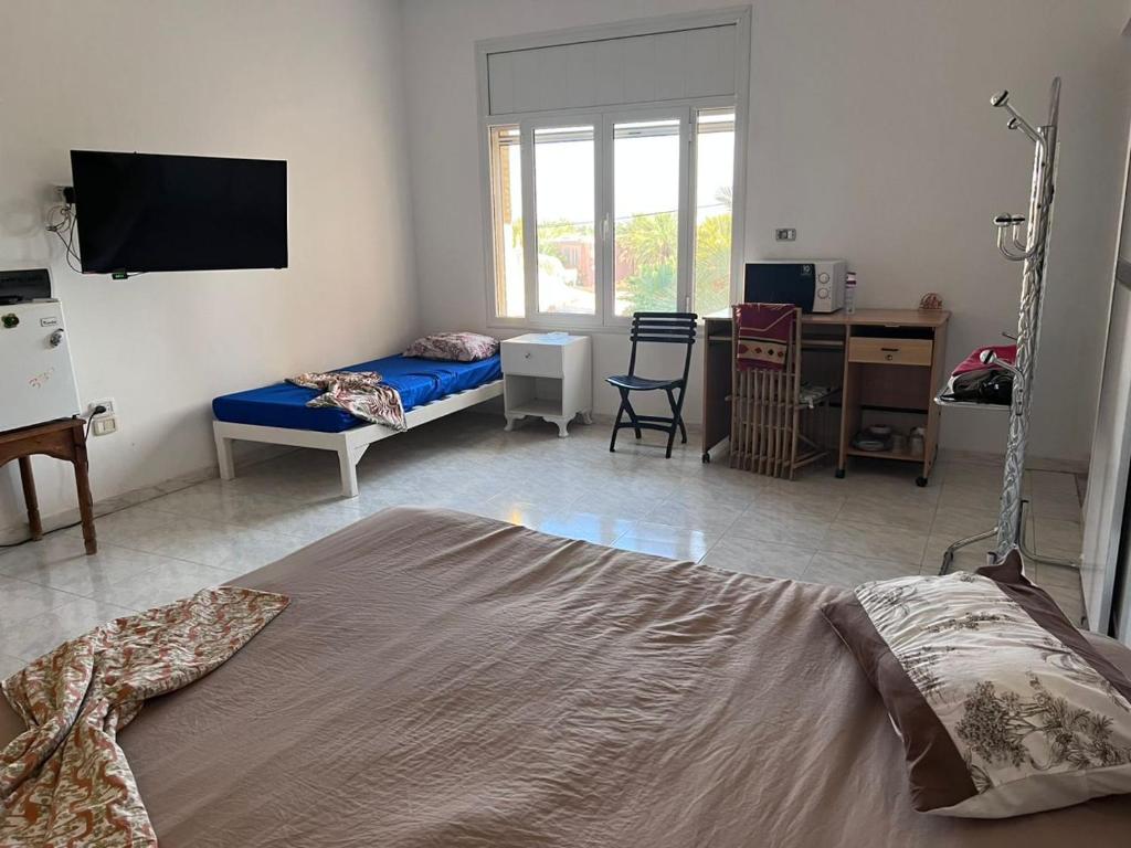 Suite MoonLight zone touristique tozeur photo 2