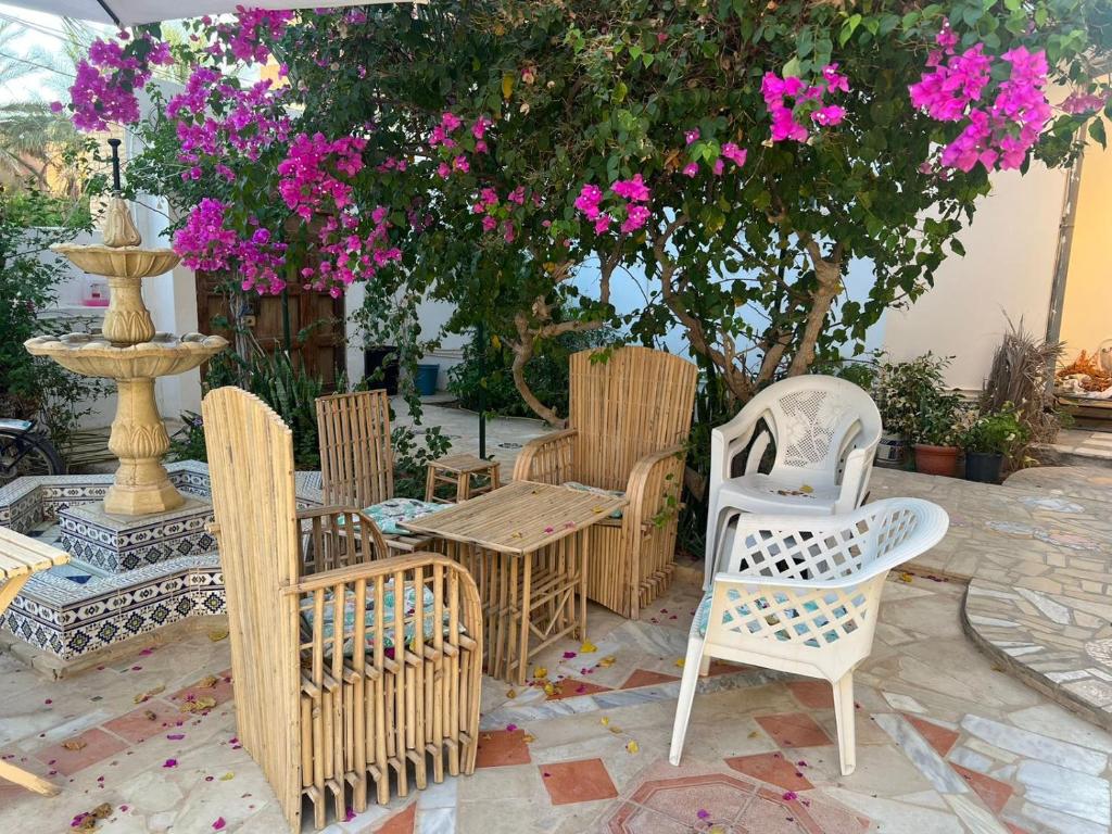 Suite MoonLight zone touristique tozeur photo 4