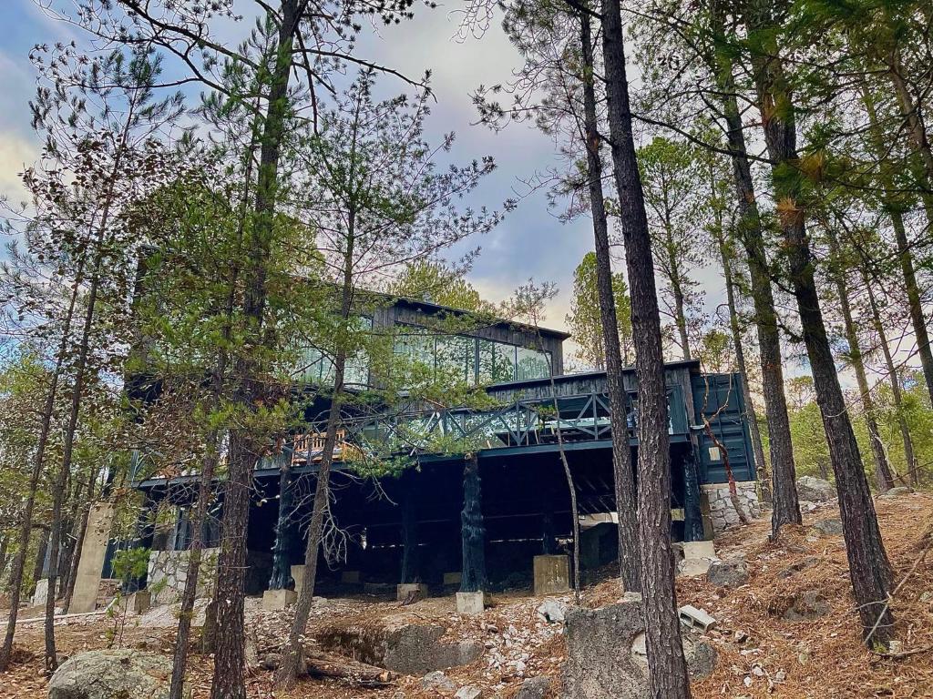 Sierra Glamping el Oso photo 2