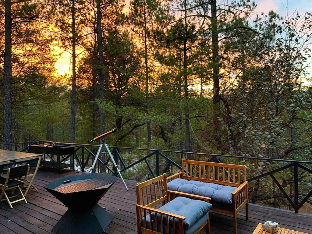 Sierra Glamping el Oso photo 4