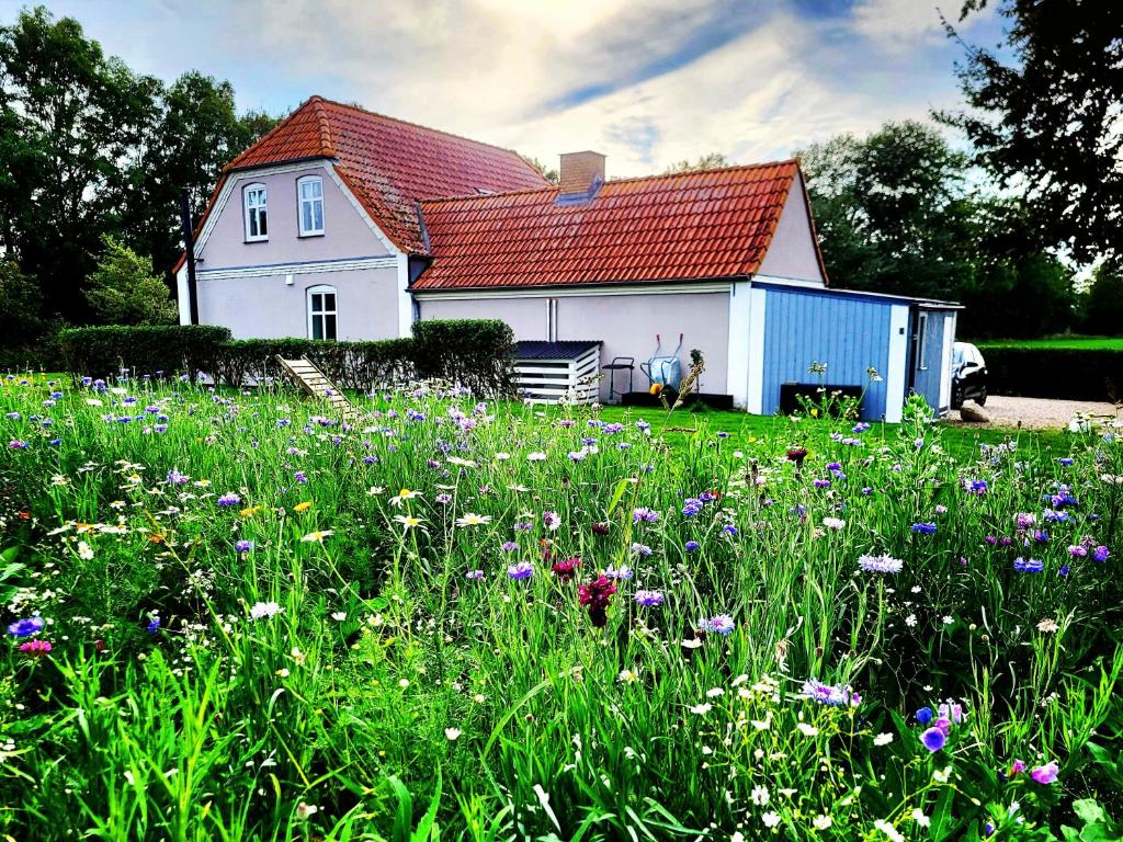 Zimmer im Haus an der Bucht photo 4