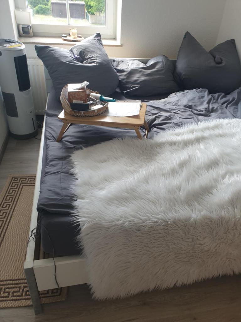 Gästezimmer bei Katzenliebhaberin und Chihuahua