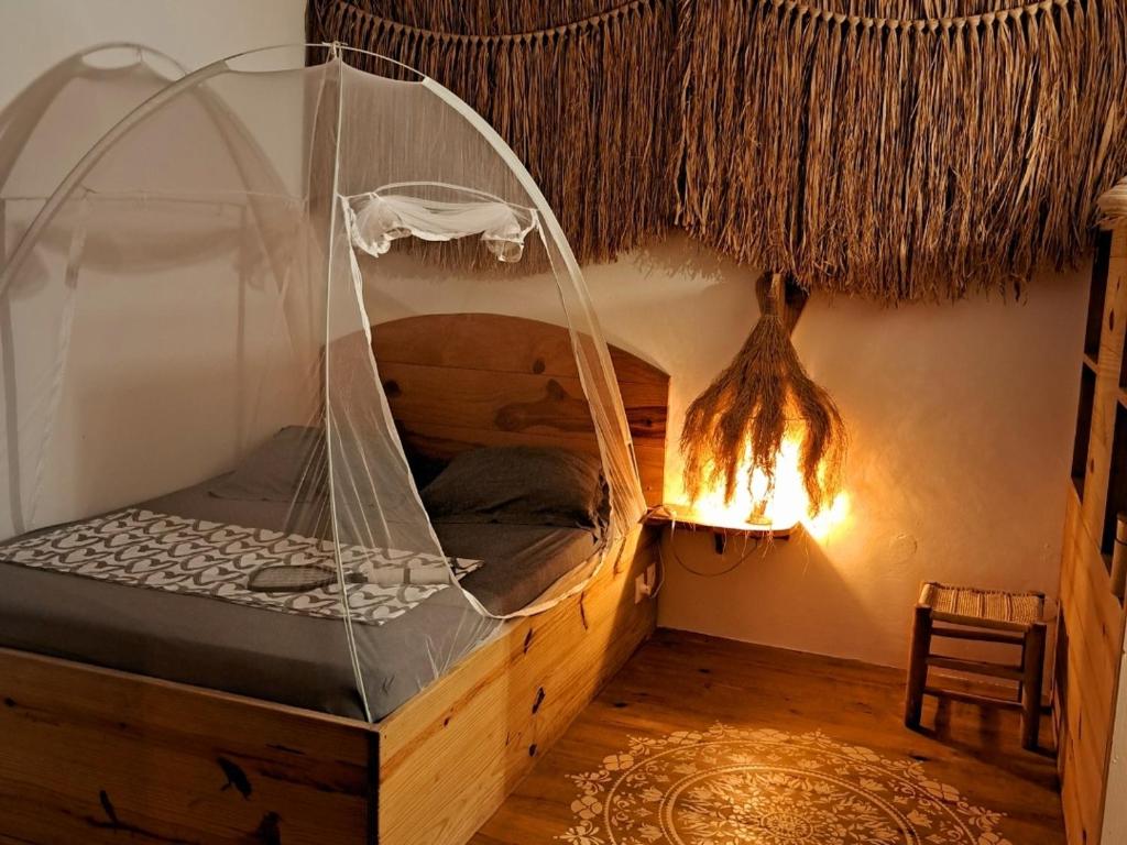 P'tites chambres dans la campagne de Marie Galante photo 2