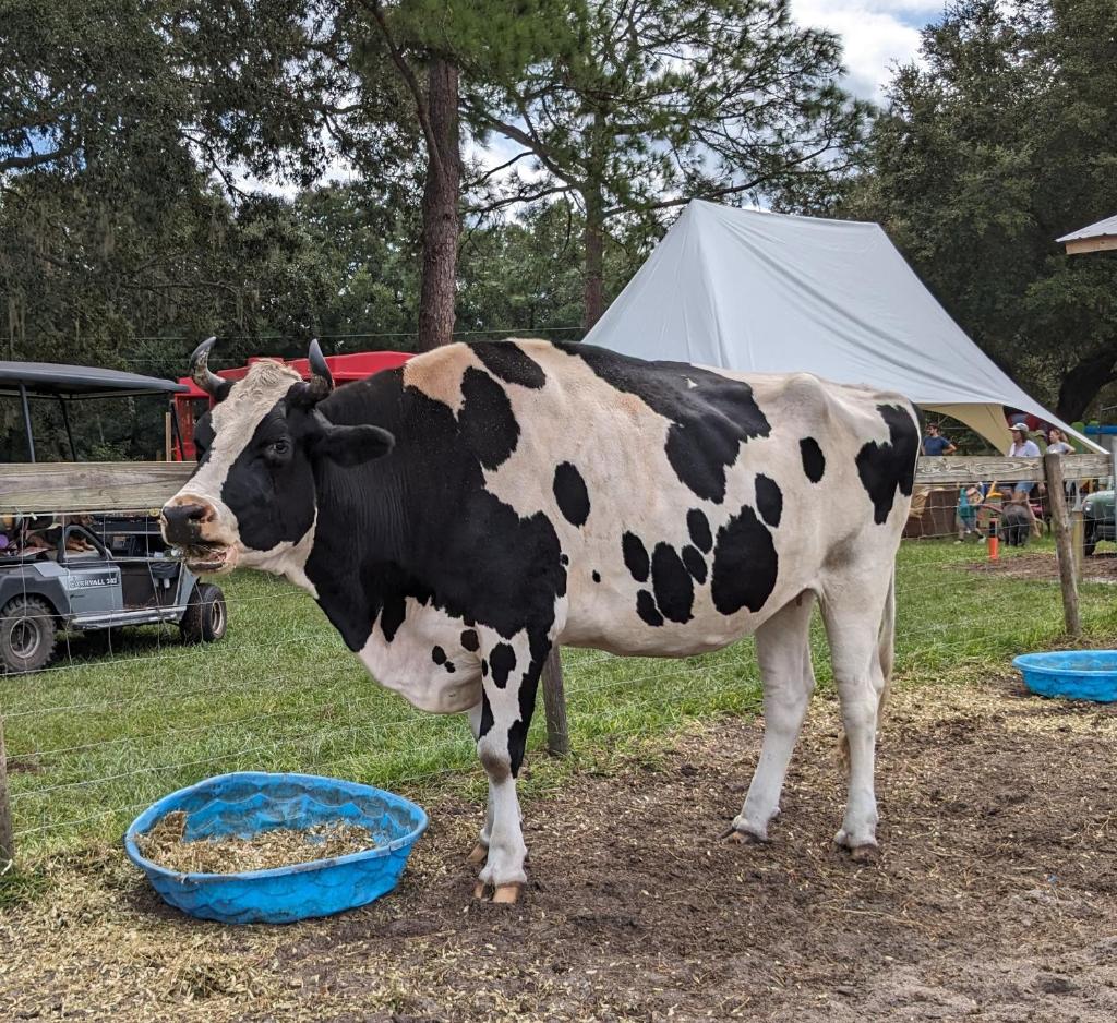 Rooterville Animal Sanctuary image