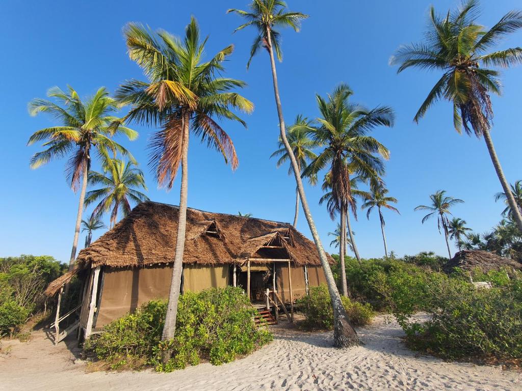 Mahali Maalum Barefoot Lodge photo 1