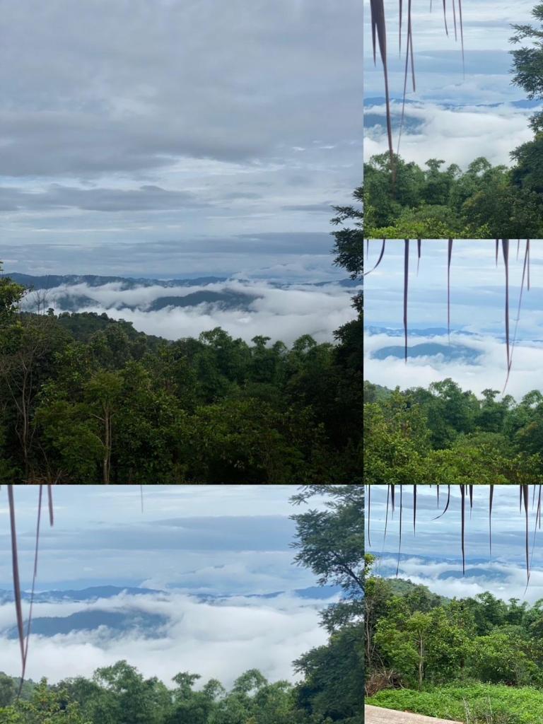 A BU SRI (อะ บู้ ศรี) photo 1