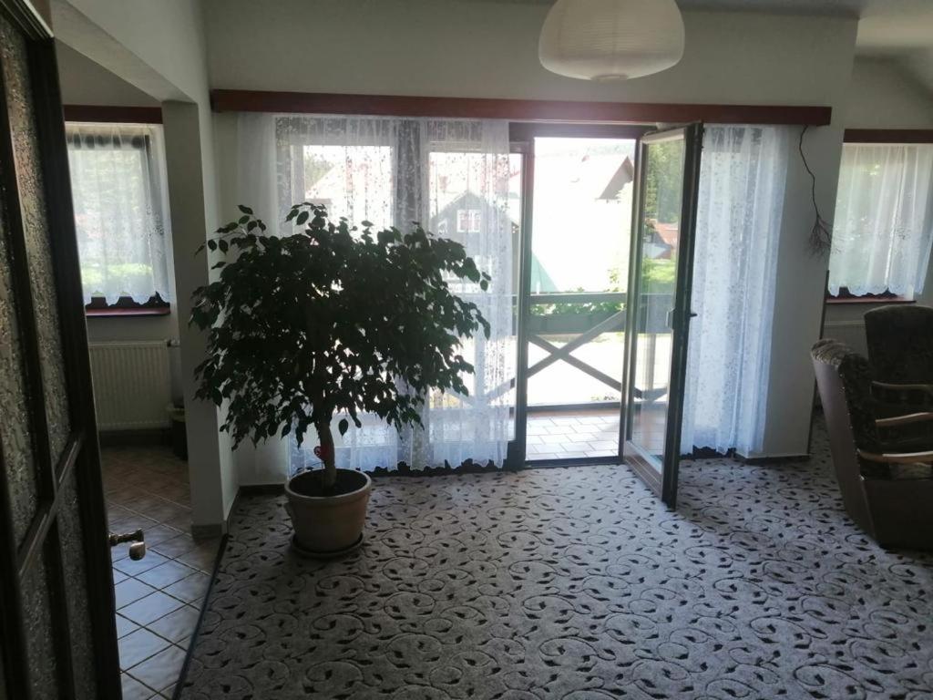 Eldo APARTMAN photo 1