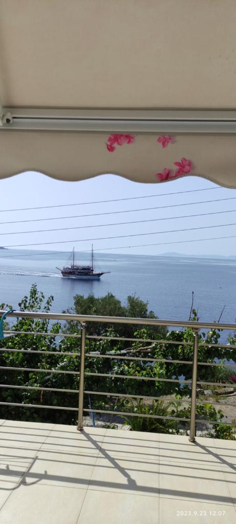 ΖΩΗ ΣΤΟ ΚΥΜΑ photo 4