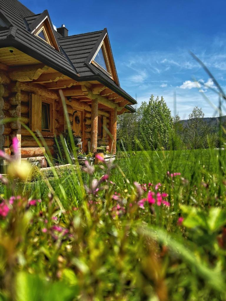 Pacygówka photo 1