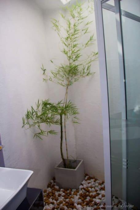 Aayu's studio apartment photo 4