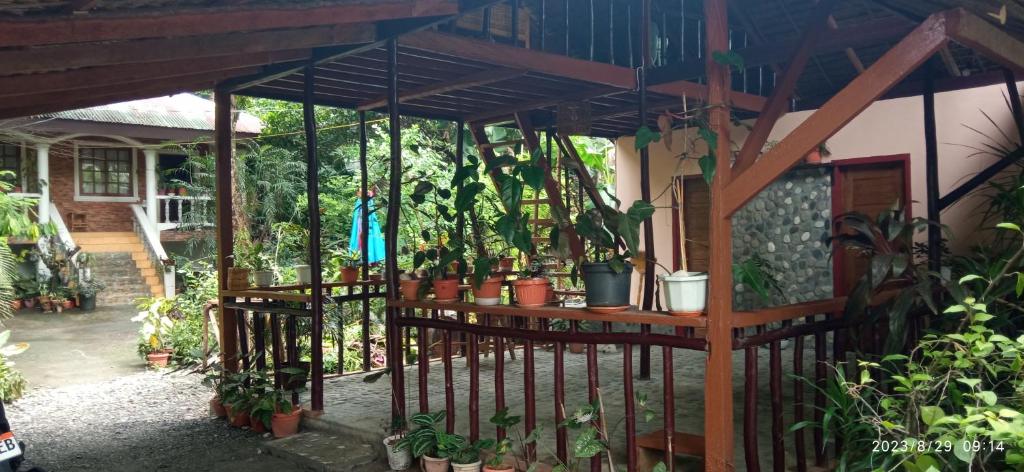 Dulangan Puerto Galera Transient Place photo 3
