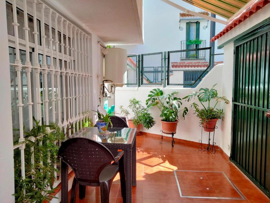 Casa Sevilla photo 4