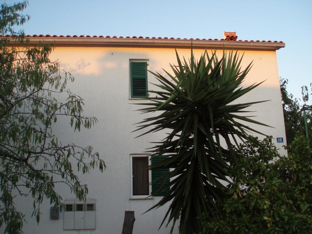 Apartment Bura photo 3