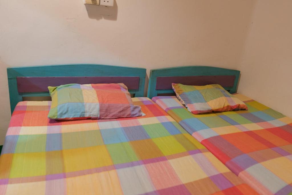 Taru Hostel - Surf Camp, Restaurant & Bar photo 3