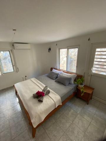 Grand Case Palace photo 2