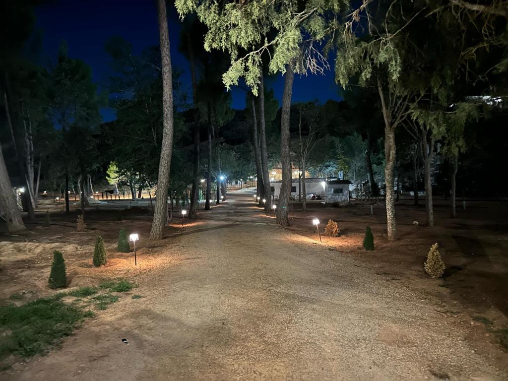 VILLAS LAS LAGUNAS 1 photo 3