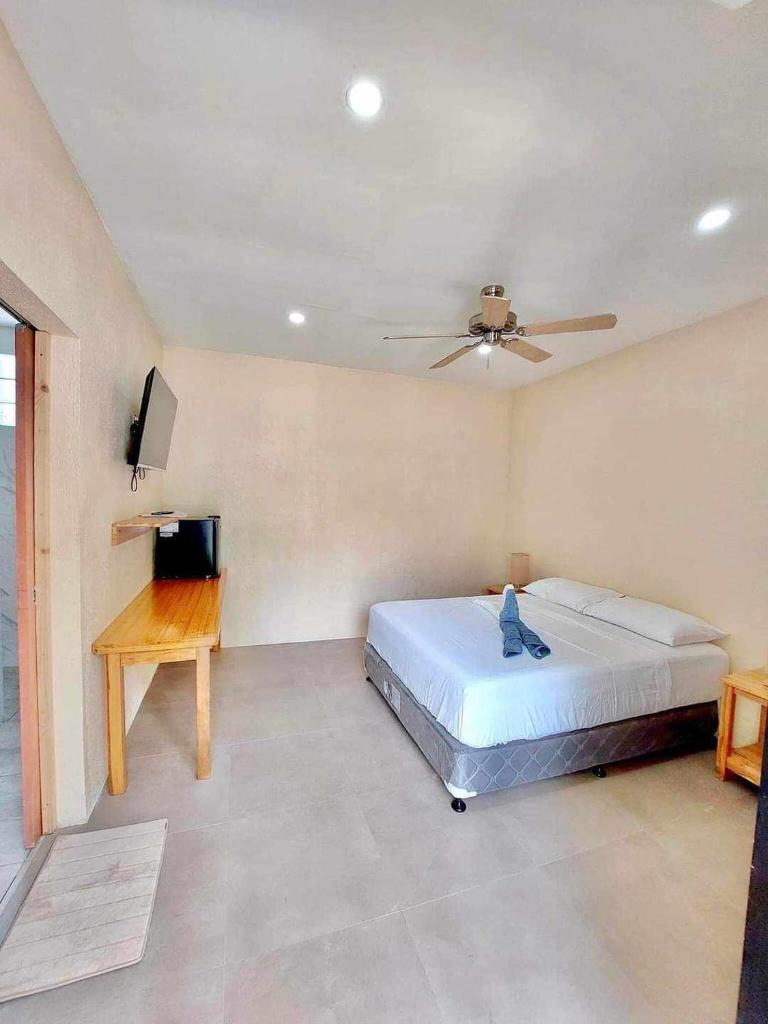 Tiki Bantayan Cebu Tourist Inn Inc photo 2