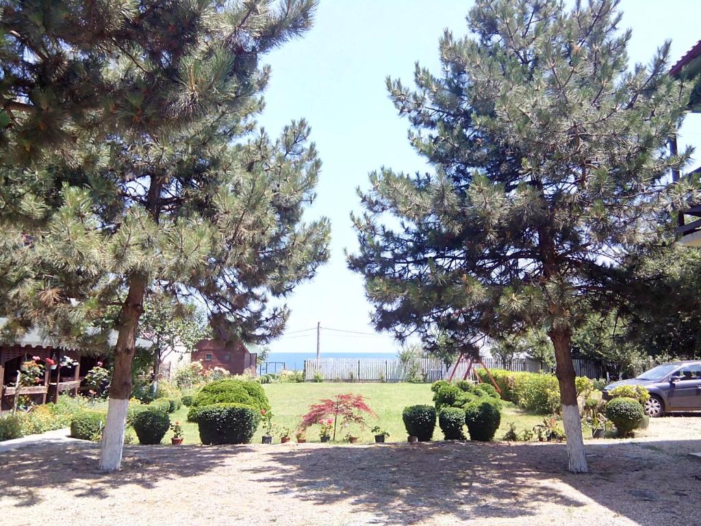 Pensiunea Sapte Pini photo 1