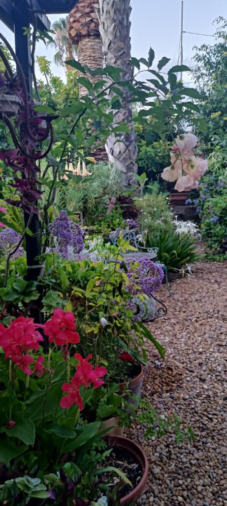 Casa Flora Garden Studio (Gite) photo 4